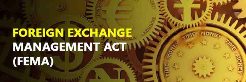 Foreign Exchange Management Act Services