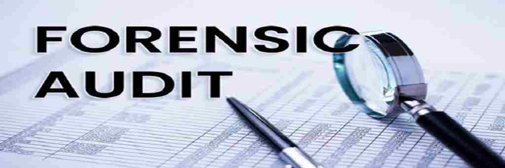 Forensic Audit Services